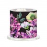 Cloche Candle -  Midnight Jasmine