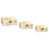 Set de 3 boîtes rectangulaires gigognes Broche PM - Golden Botanicals
