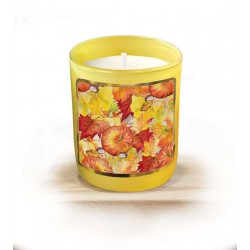 Candle 220gr - Automne