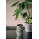 Mug de bureau 420ml Bioloco Office Mint Leaves - Chic Mic