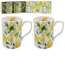 Coffret 2 mugs en porcelaine - Lemon Grove