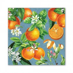 Pochette de 20 serviettes carrées - L'Orange