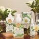 Bougie Parfumée 209 g & couvercle - Winter Blooms