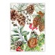 Kitchen towel set 2 - White Spruce