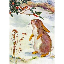 Carte double GM et enveloppe Noel - Rabbit & Robin