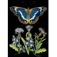 Carte double GM et enveloppe - Whimsical (blue butterfly)