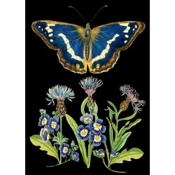 Carte double GM et enveloppe - Whimsical (blue butterfly)