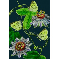 Carte double GM et enveloppe - Botanical (green butterflies)