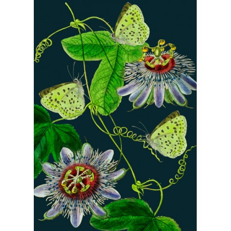 Carte double GM et enveloppe - Botanical (green butterflies)