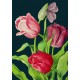 Carte double GM et enveloppe - Botanical (Tulips)
