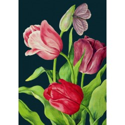 Carte double GM et enveloppe - Botanical (Tulips)