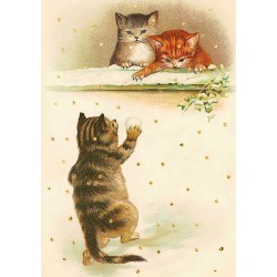 Carte double GM et enveloppe Noël - Lovely Kittens