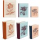Large book box set 3 - Botanical illustrations