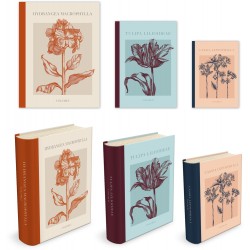 Large book box set 3 - Botanical illustrations