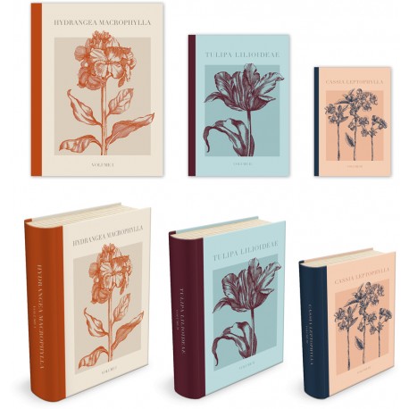 Large book box set 3 - Botanical illustrations