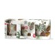 Coffret cadeau 3 bougies 70g - White Spruce
