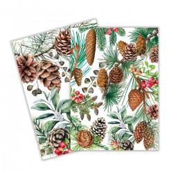 Set de 2 torchons assortis 100% coton - White Spruce
