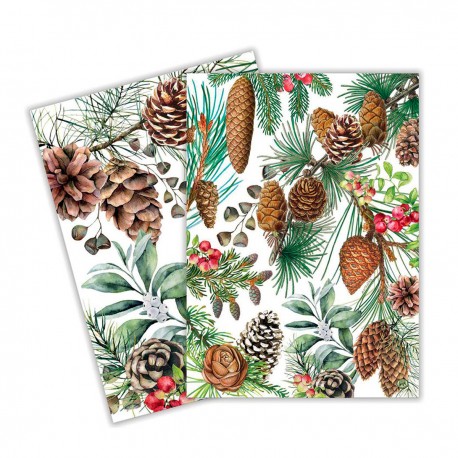Set de 2 torchons assortis 100% coton - White Spruce