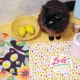Plateau rectangulaire kraft (42x30 cm) - Retro love
