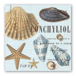 Pochette de 20 serviettes carrées  - Seashells *