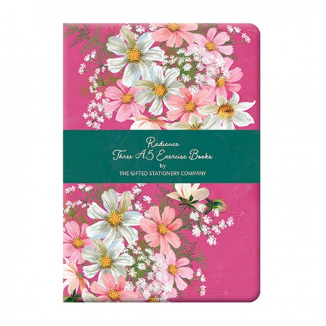 Set de 3 carnets de notes A5 - Radiance