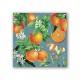 Pochette de 20 serviettes cocktail - L'Orange
