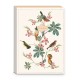 Soft cover journal - Ephemeral Garden (Birds)