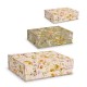 Large rectangular box set 3 - Neutral Floral
