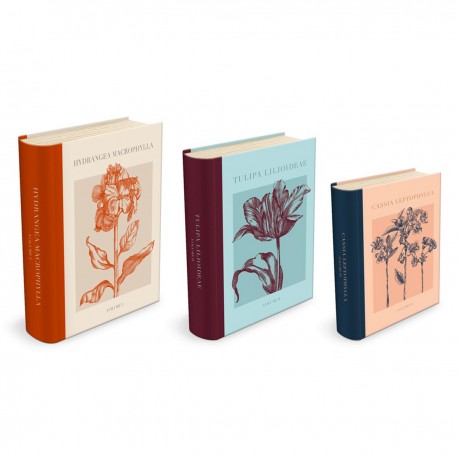 Set de 3 boîtes livres gigognes GM - Botanical illustrations