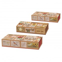 Set 3 boîtes plumiers 'Corkboard Curiosities'