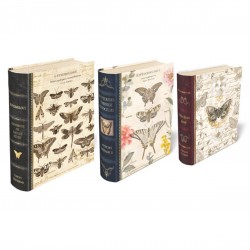 Set de 3 boîtes livres gigognes GM - Butterfly Specimen