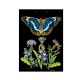 Blank card - Whimsical (blue butterfly)