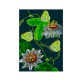 Blank card - Botanical (green butterflies)
