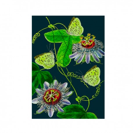 Blank card - Botanical (green butterflies)