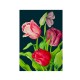 Carte double GM et enveloppe - Botanical (Tulips)