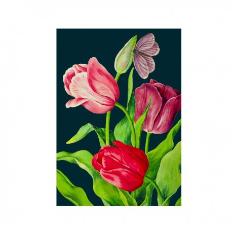 Carte double GM et enveloppe - Botanical (Tulips)