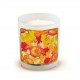 Candle 220gr - Automne