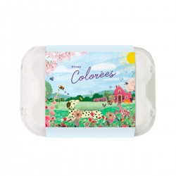 Eggbox of 7 flowers bombs - Maison Rose