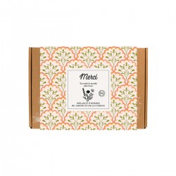 Set of 7 flowers bombs - Herbes du jardin