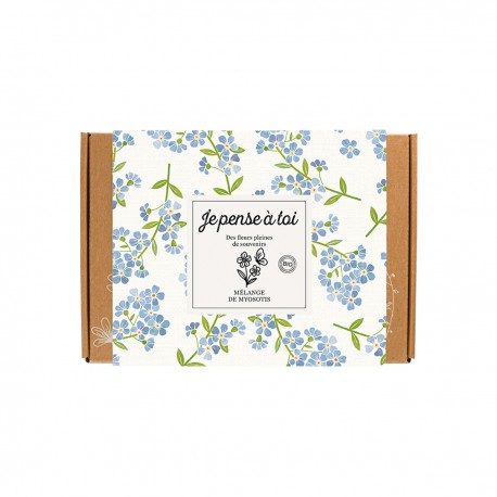 Coffret 7 bombes de fleurs - Myosotis