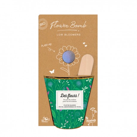Kit à planter (1 bombe de fleurs + pot) - Fleurs pour jardinière