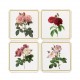 Coaster set of 4 - New Redoute Rose
