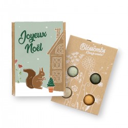 Set of 4 flowers bombs - Xmas (Joyeux Noël écureuil)