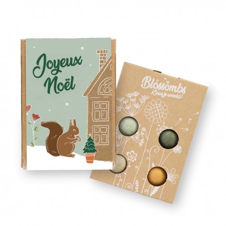 Set of 4 flowers bombs - Xmas (Joyeux Noël écureuil)