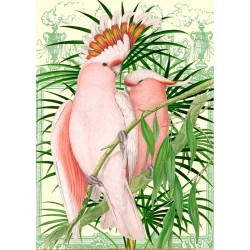 Carte double GM & env. 'WHIMSICAL' (pink parrot)