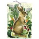 Carte double GM & env. 'FANDANGLES' (rabbit)