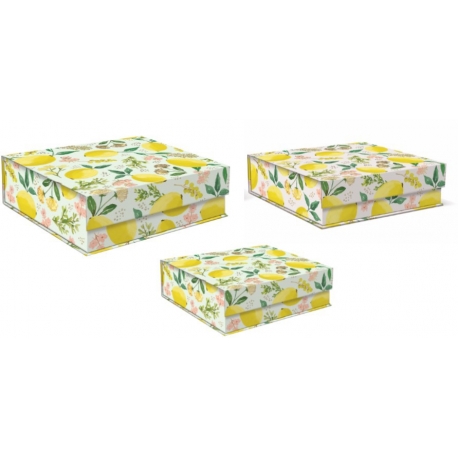 Set 3 boîtes carrées GM 'Botany Yellow'