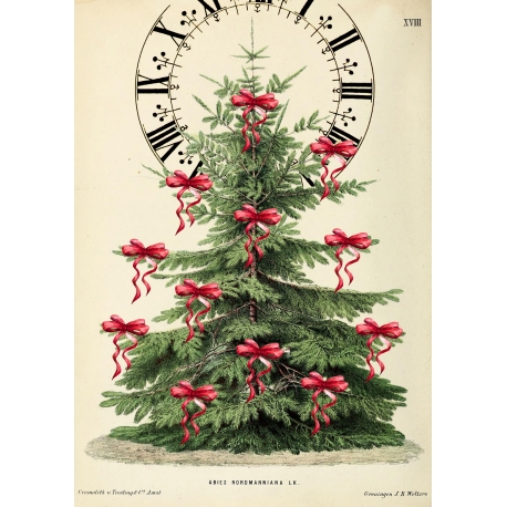 Carte double GM & env. 'XMAS TREE'