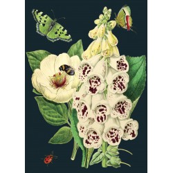 Carte double GM et enveloppe - Midnight Botanical (white bell)