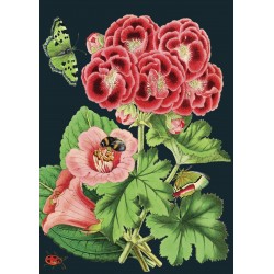Carte double GM et enveloppe - Midnight Botanical (geranium)